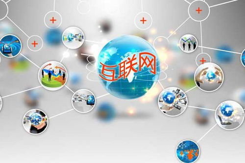 鱼爪网 互联网服务领域的弯道超车者